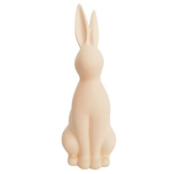 Coelho Sentado em Chacota