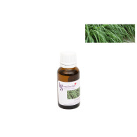 ESSENCIA 20ML CITRONELA