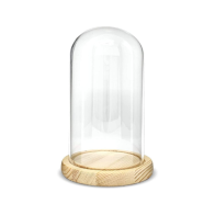 Campânula de Vidro 22 cm