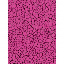 Papel decopatch