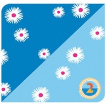 Cartolina dupla face