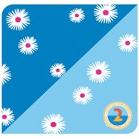 Cartolina dupla face