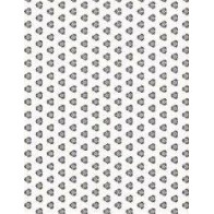 Papel contracolado 23x30 linha Preto e Branco