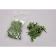 Musgo verde escuro 15gr