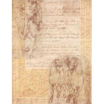 Papel contracolado 23x30 linha Vintage