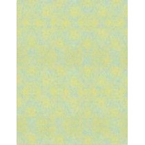 Papel contracolado 23x30 linha Color