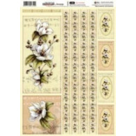 Papel contracolado 25x35 temático