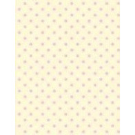 Papel contracolado 23x30 linha Baby