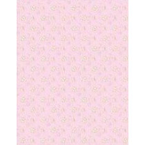 Papel contracolado 23x30 linha Baby