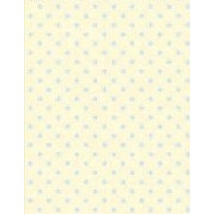 Papel contracolado 23x30 linha Baby