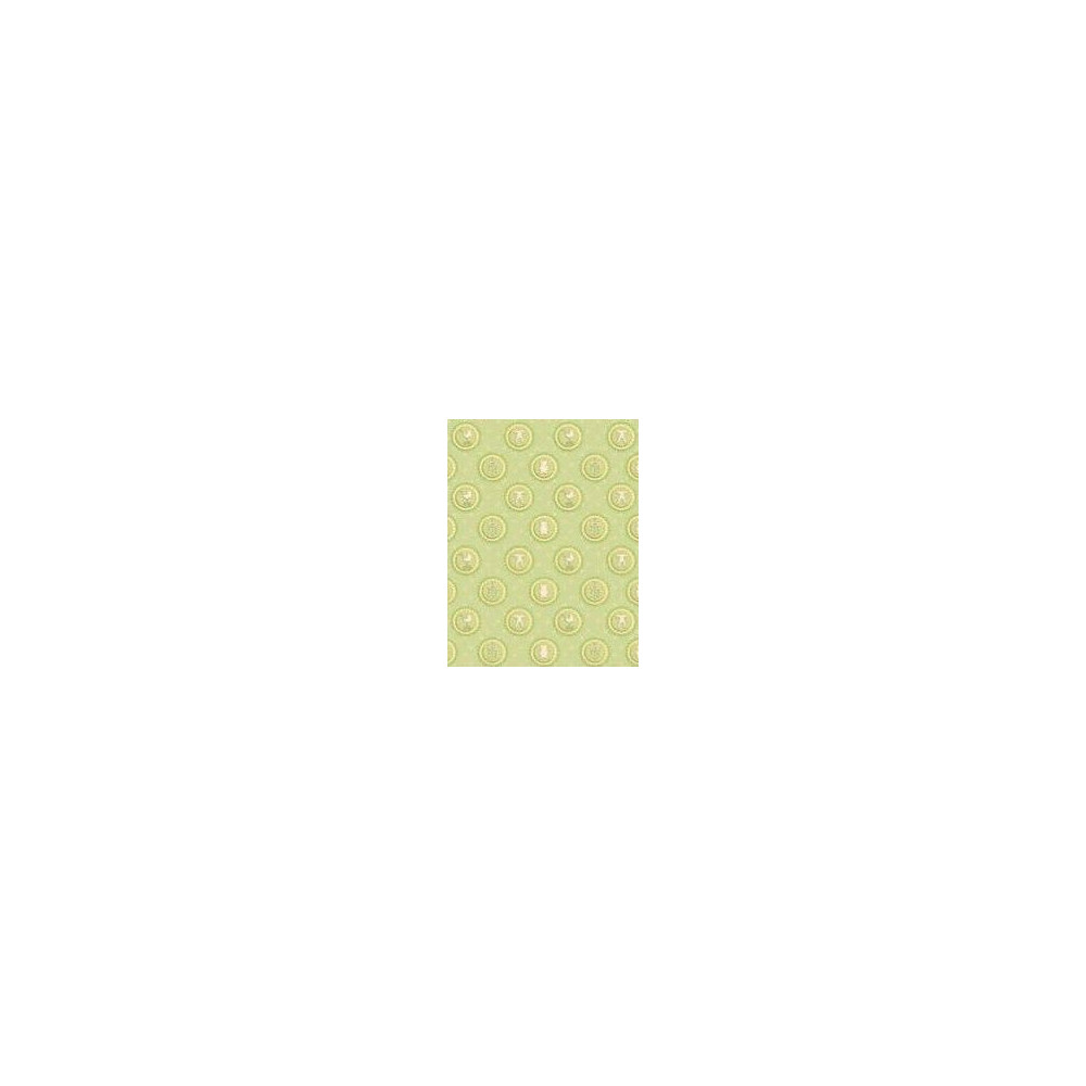 Papel contracolado 23x30 linha Baby
