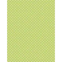 Papel contracolado 23x30 linha Baby