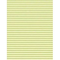 Papel contracolado 23x30 linha Baby