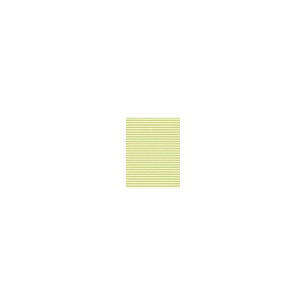 Papel contracolado 23x30 linha Baby