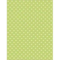 Papel contracolado 23x30 linha Baby