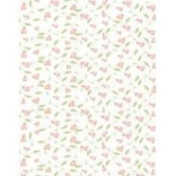 Papel contracolado 23x30 linha Baby