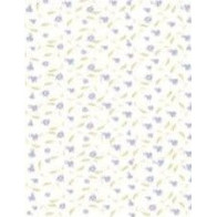 Papel contracolado 23x30 linha Baby
