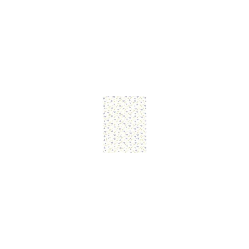 Papel contracolado 23x30 linha Baby