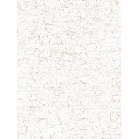 Papel decopatch