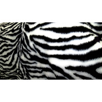 Tecido estampado Zebra