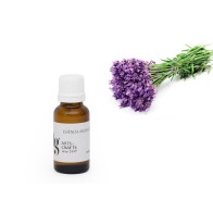 Fragrância de Lavanda/ Alfazema