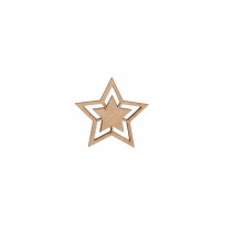 Estrela de Natal 