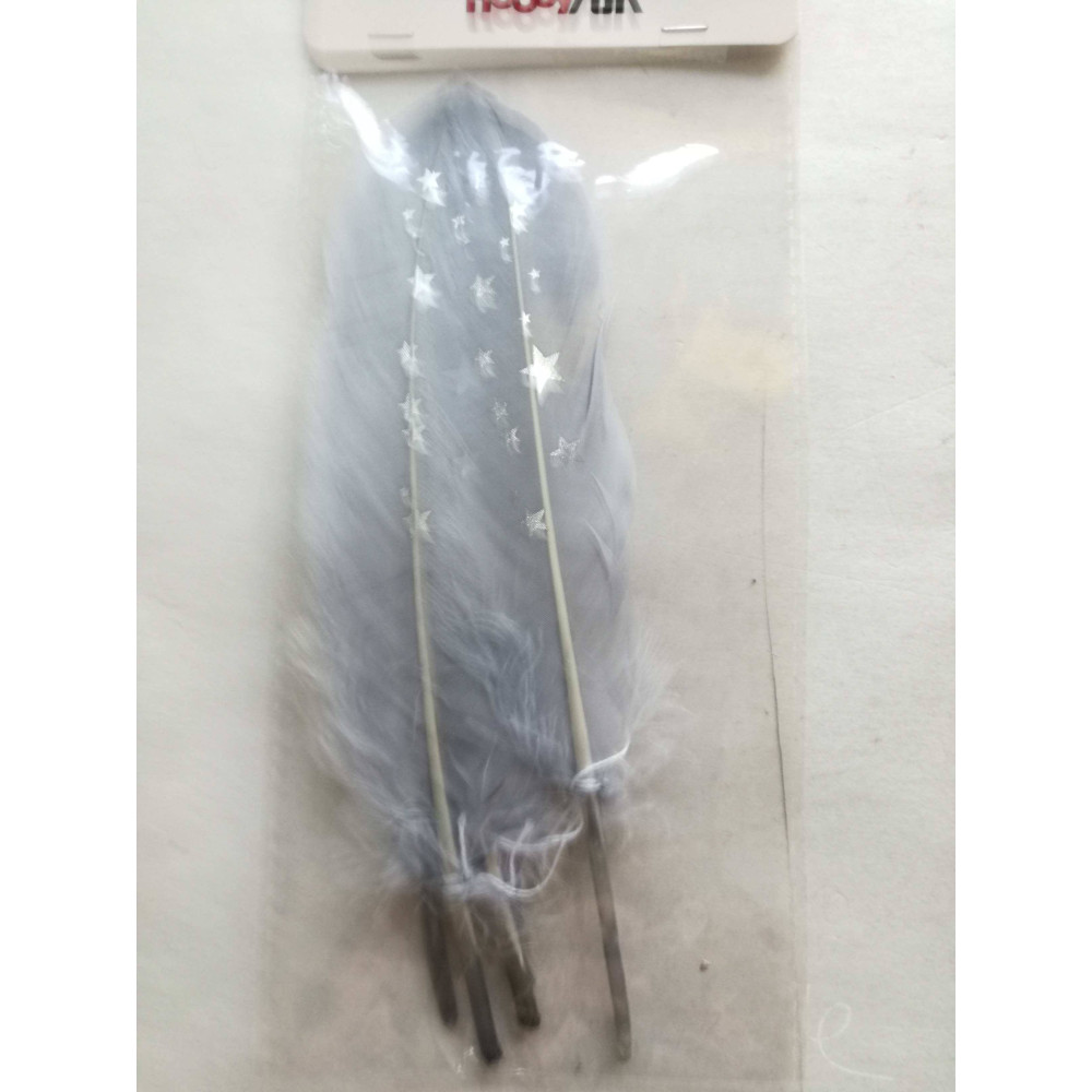 Plumas / penas prata com estrelas