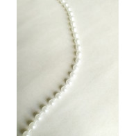 Fita Rendada Sarapilheira
