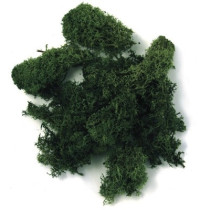 Musgo escuro "iceland moss"