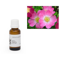 FRAGANCIA ROSA MOSQUETA