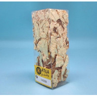 Folha de Prata livro 20fls