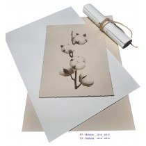 Pack 25 Fls Papel Algodão Branco / Natural