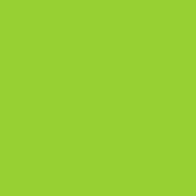 Cartolina Verde Erva 50x65 cm