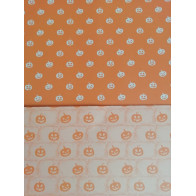Cartolina Dupla Face Abóboras