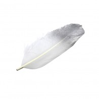 Conj. 5 Penas Prateadas 12 cm