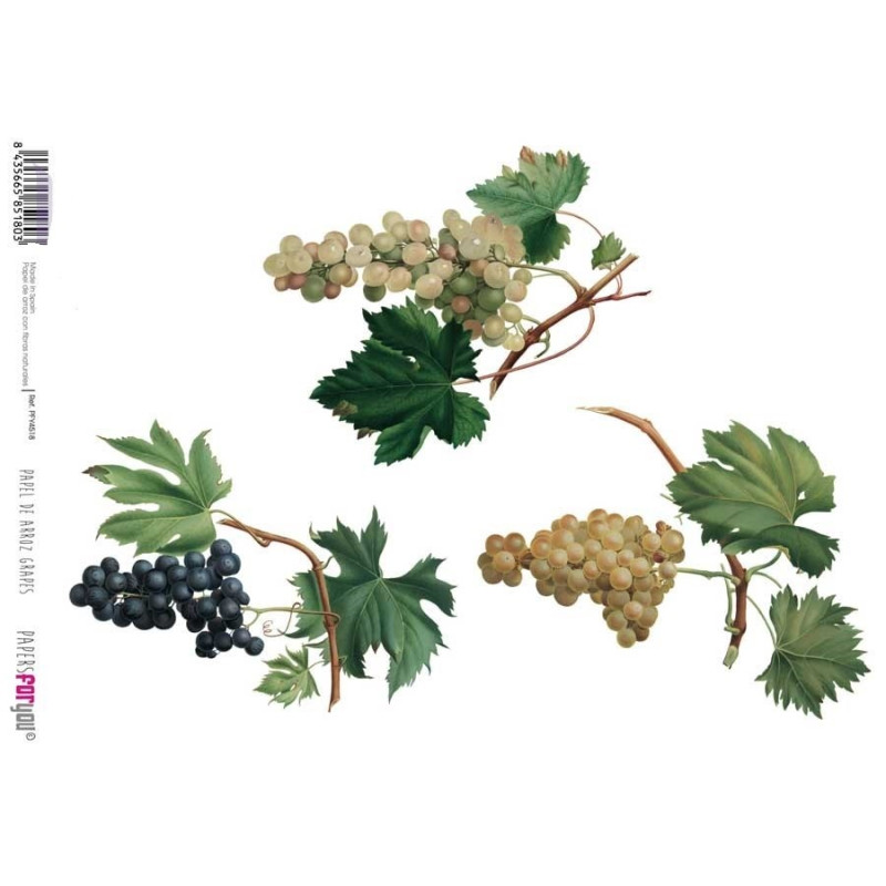 PAPEL ARROZ  UVAS