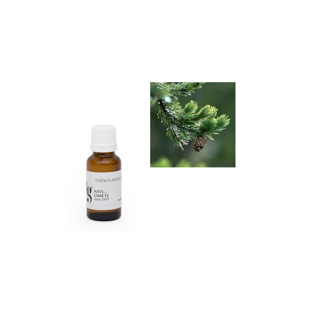 ESSENCIA 20ML PINHO