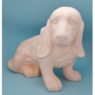 Cão em chacota - Basset