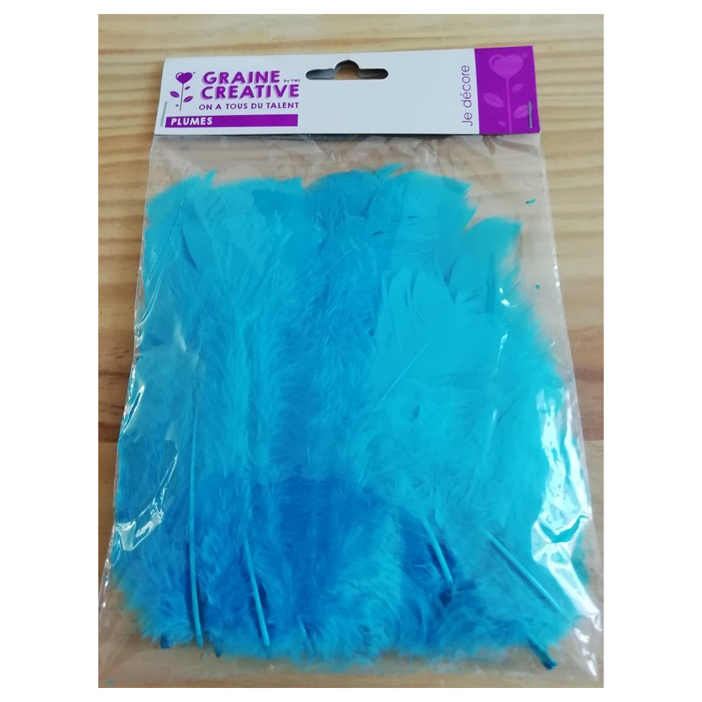 Plumas/ Penas Várias Cores