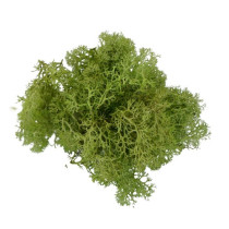 Musgo verde claro 15gr
