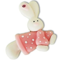 Aplicação Coelho Biscuit