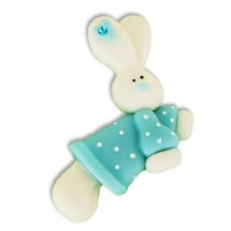 Aplicação Coelho Biscuit