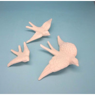 Andorinha com asa curva