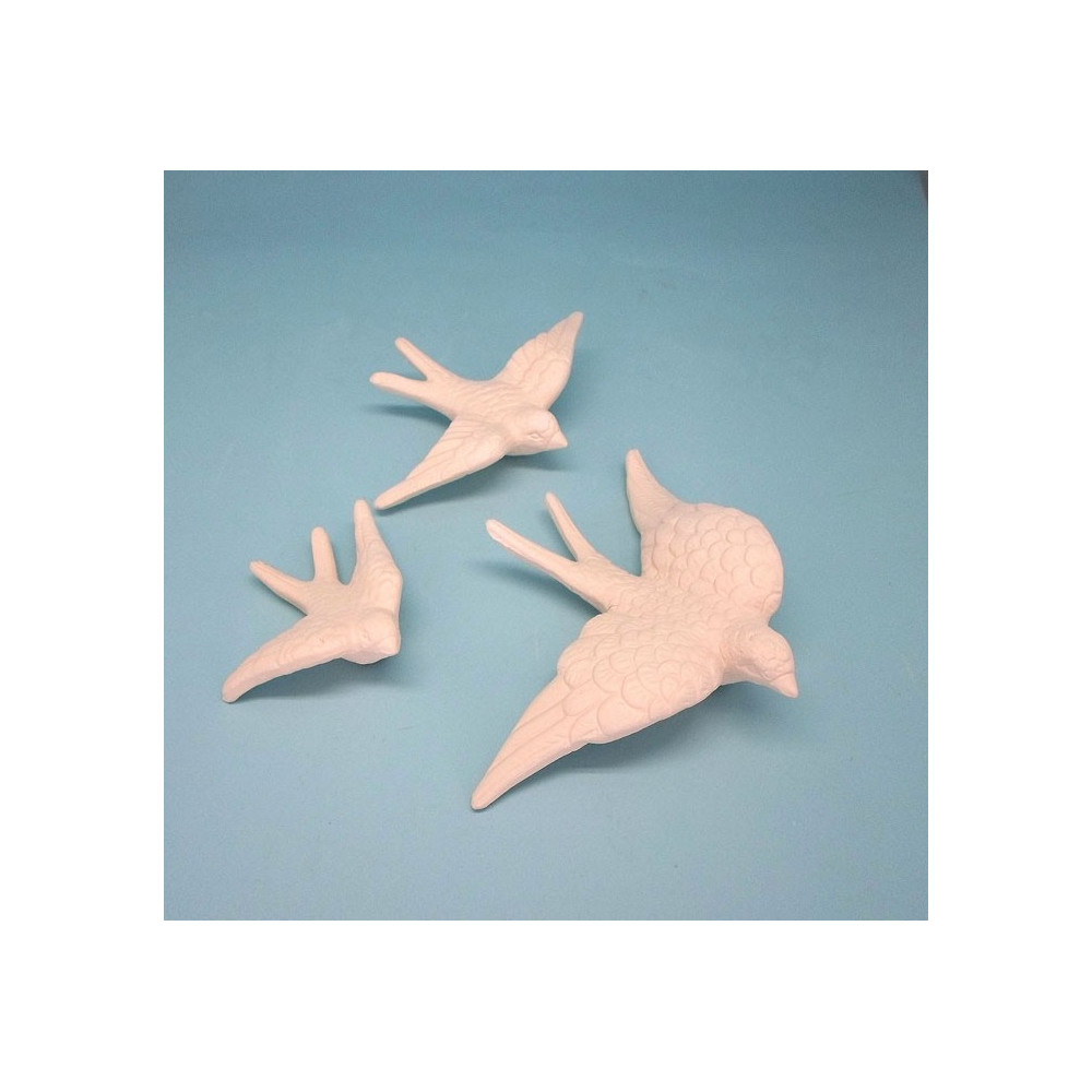 Andorinha com asa curva