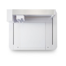 Silhouette Curio