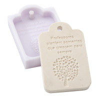 MOLDE SILICONE PROFESSORES