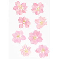 Flores Secas Rosa