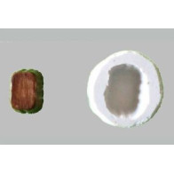 Molde de silicone bombom